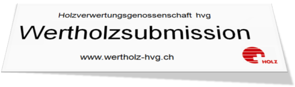 text und logo.png
