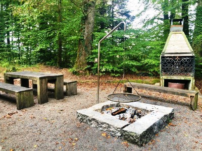 Chleirüti_Grillstelle.jpg