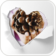 app-icon_114.png