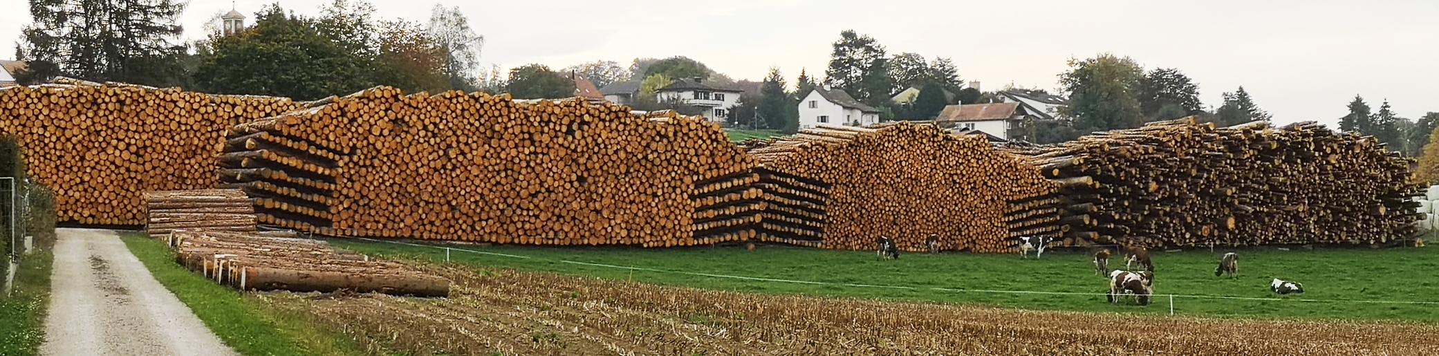 käferholzlager.jpg