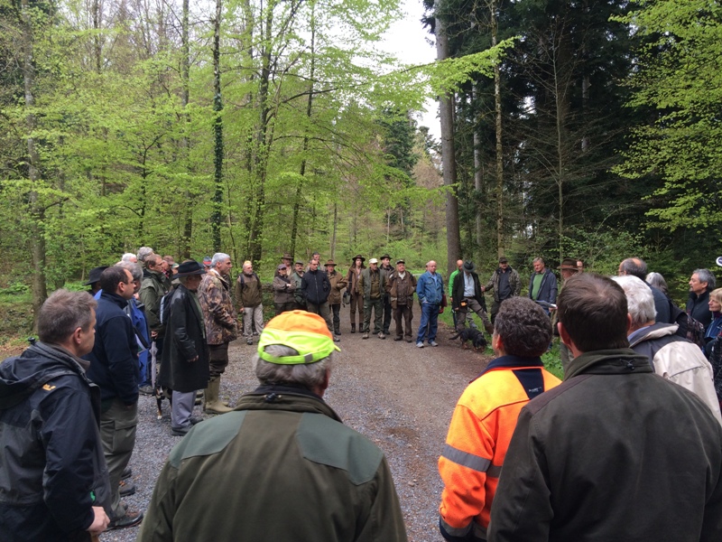 jagdforum hittnau.JPG