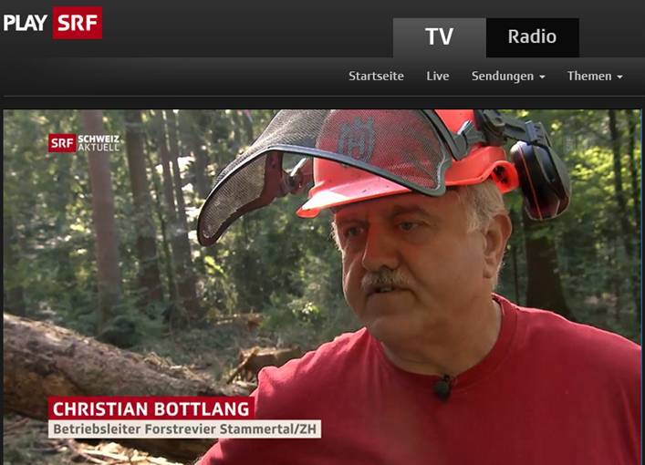 borkenkäfer schweiz aktuell.jpg