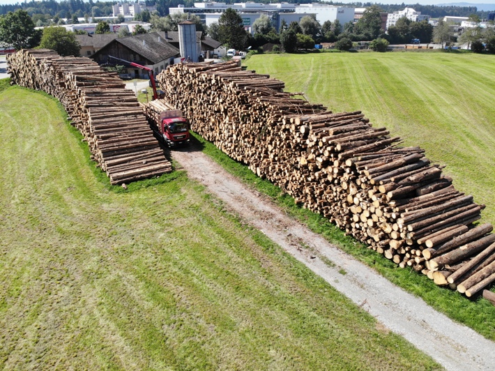 Käferholzlager Raum Zürich August 2019 700 x 500 px.jpg