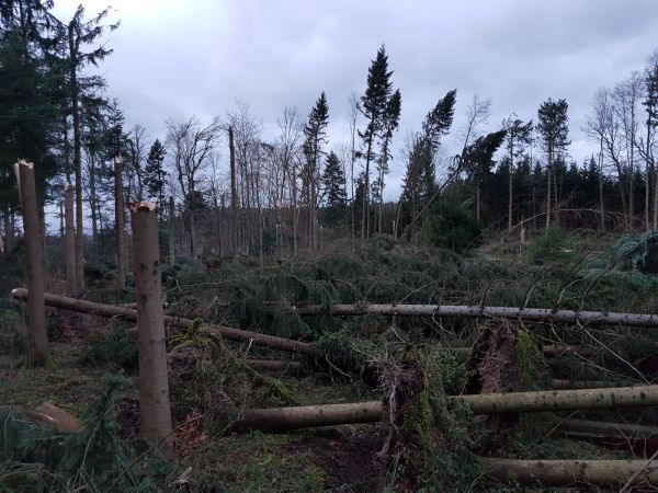 burglind säuliamt 1.jpg